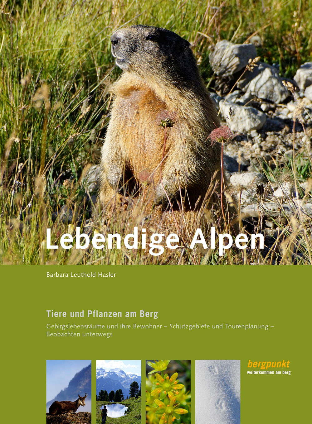 https://bergpunkt-dev.b-cdn.net/bergpunkt-fachbuch-natur-barbara-leuthold-60731b865a17a686393938.jpeg